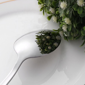 Bộ Dao Kéo Hoàn Toàn Bằng Thép Không Gỉ 24 Món Bộ Đồ Ăn Bằng Bạc Trong Hộp Bộ Thìa Nĩa Dao Bằng Thép Không Gỉ Bán Sỉ - Product Image 6