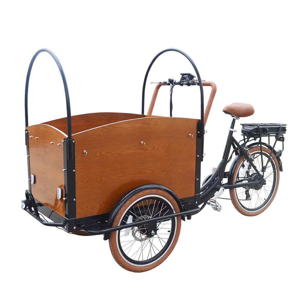 Front Loading 250w Folding 3 Wheel Carrying Kids and Pets Outdoor Electric Cargo Bike for Family