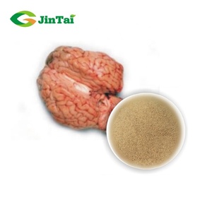 Gevriesdroogde <span class=keywords><strong>Ox</strong></span> Hersenen Poeder - Product Image 1