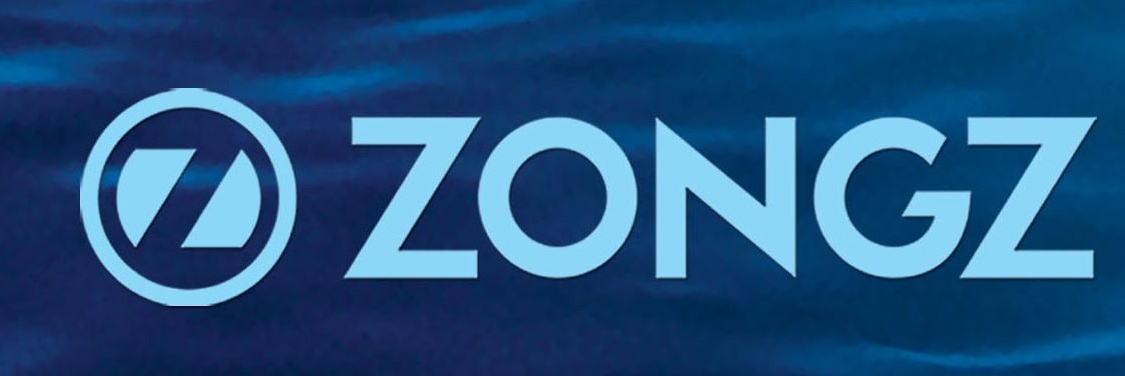 Yuyao Zongz Electric Co., Ltd.