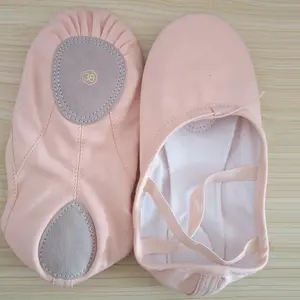 Zapatilla de Ballet para niños y niñas, suela dividida de lona, bajo MOQ, alta calidad profesional