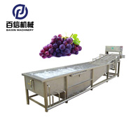 De Goedkoopste Fruit Wasmachine Prijs/Bubble Wasmachine