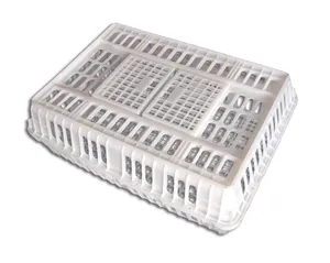 Poultry plastic equipment broiler turnover cage for transport live chickens