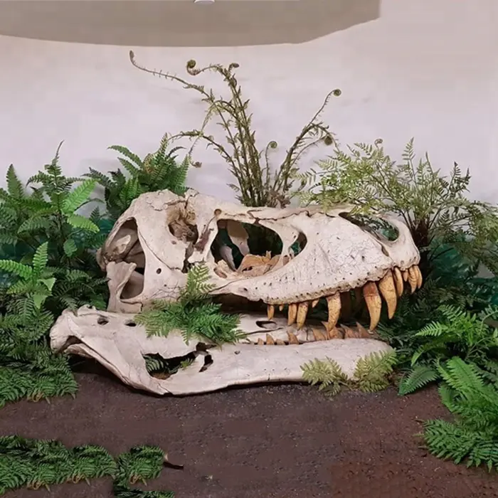 Pameran Museum Replika Tengkorak Dinosaurus T-rex