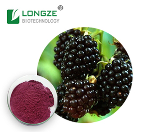 Chiết Xuất Từ Blackberry Hòa Tan Trong Nước Tốt Anthocyanidins 1-25% - Product Image 2