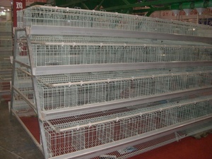 Otomatik A tipi tavuk kafesi tavuklar kafes katlanır tavuk kafesi - Product Image 3
