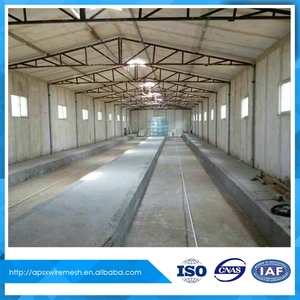 Dar es salaam tanzania <span class=keywords><strong>granja</strong></span> avícola mejor venta de pollo jaula - Product Image 3