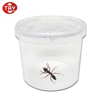 Magnifying insect jars with lids. Acrylic containers 31/2 tall