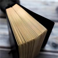 Großhandel klassische planer leere innere seite gold muster notebook vintage schwarz PU leder hardcover persönliche tagebuch