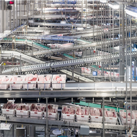 Équipement de ligne d'abattage de porcs industriel Honyo, machine en acier inoxydable, automatique, haute productivité