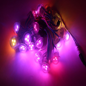 26 Mét 3 LEDs <span class=keywords><strong>Transparent</strong></span> Bìa WS2811 IC DC12V Điểm Không Thấm Nước Điểm <span class=keywords><strong>Pixel</strong></span> Lights - Product Image 1