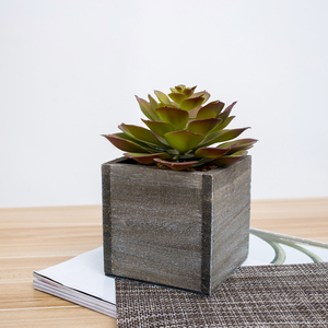 Artificiale Misto <span class=keywords><strong>Piante</strong></span> Succulente con Rustico Marrone Vasi Fioriera In Legno & Vassoio Quadrato - Product Image 1