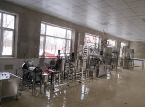 20LPH bis 500LPH Obst-und Gemüse milch getränk Pilot verarbeitung anlage im Labormaßstab - Product Image 5