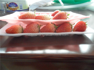 Barquettes en mousse de polyéthylène expansé (EPE) pour l'emballage des fraises - Product Image 3
