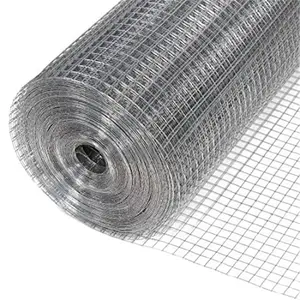 factory welded wire mesh Welded wire mesh roll for bird cages