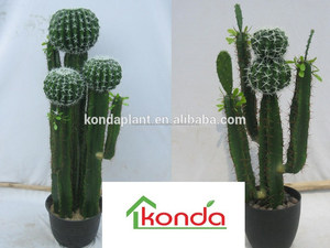 Decoración de interior Y Al Aire Libre <span class=keywords><strong>bonsai</strong></span> Plantas de Cactus Cactus Y Suculentas Cactus Plantas artificiales Al Por Mayor - Product Image 5