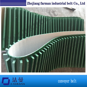 Pürüzlü Yüzey PVC Skid Konveyör bantlar Için Paketleme Makinesi - Product Image 3