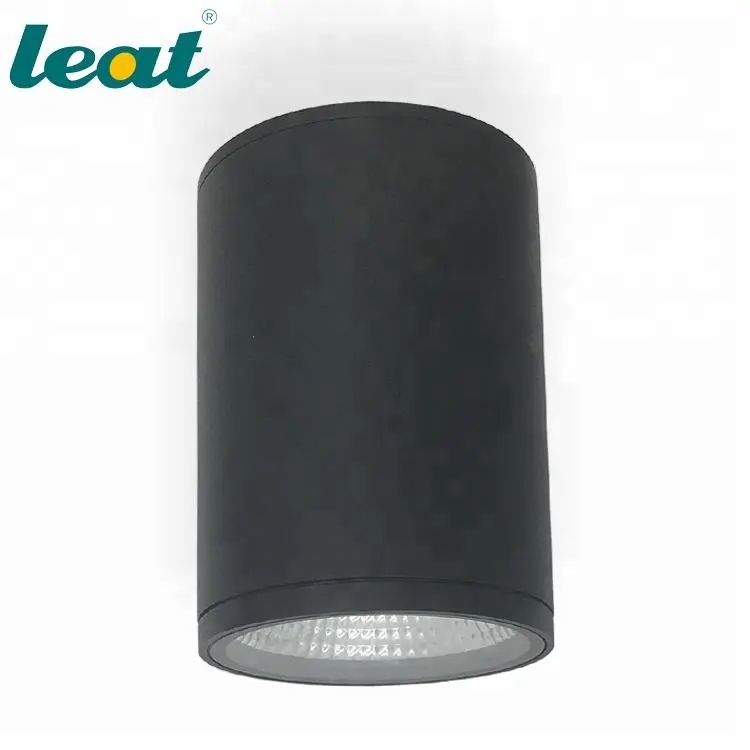 Indoor ledlighting ceiling focus ceiling down light room design light ceiling CE SAA