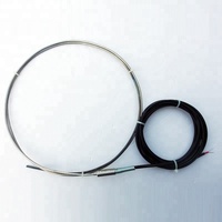 OEM Customizable K Thermocouple Wire with Connection Head China Supplier's Temperature Type Instrument
