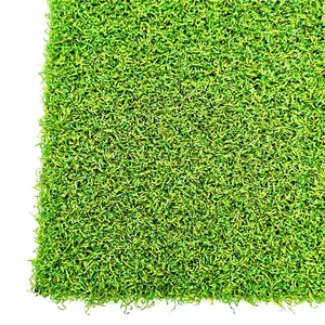 הולנד טבעי דשא מיני גולף לשים ירוק מחצלת דשא גולף קרקע
