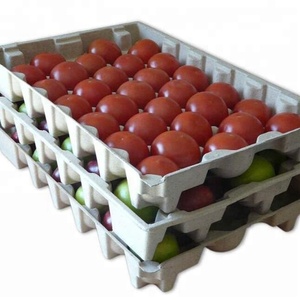 Plateau de fruits pour la production d'œufs, élimination des déchets papier, méthode de commerce domestique, de petite boîte, recyclage des œufs, machine - Product Image 2