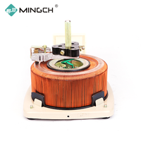 Mingruch — régulateur de tension automatique, sortie réglable TDGC2, 1kva, 1 Phase, Variac