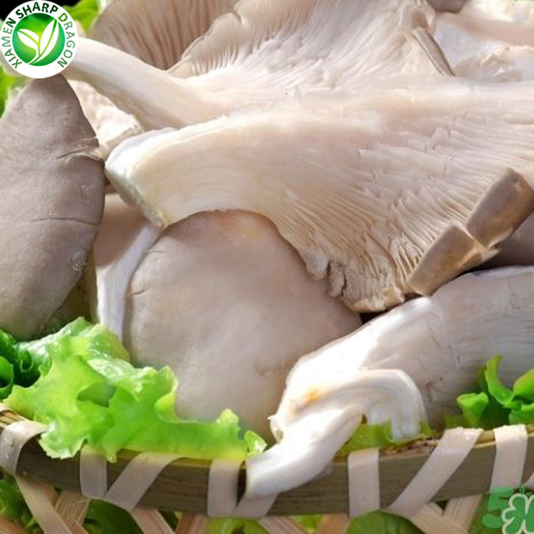 Healthy Natural IQF Frozen Grey Dried oyster Mushroom 1kg price