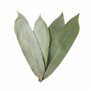 Folha de bambu natural seca selvagem para fazer zongzi