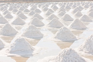 ZLG-1 * 0.75 الملح تهتز مجفف المهد المميع - Product Image 4