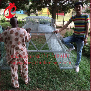 Incubadora <span class=keywords><strong>de</strong></span> <span class=keywords><strong>pollos</strong></span>, jaula <span class=keywords><strong>de</strong></span> cría <span class=keywords><strong>de</strong></span> <span class=keywords><strong>pollos</strong></span>, equipo <span class=keywords><strong>de</strong></span> pollo, galvanizado, barato, profesional - Product Image 5