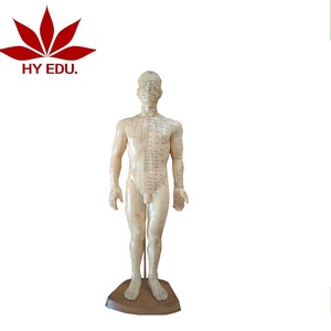 57 cm उच्च एक्यूपंक्चर चिकित्सा मॉडल के लिए मानव शरीर मॉडल - Product Image 1