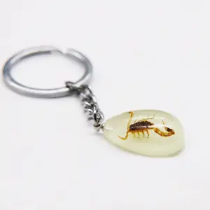 new fashion Real yellow scorpion epoxy resin water drop glow in the dark key chains