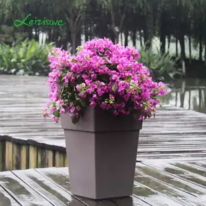五颜六色的塑料锅装饰花园花盆植物苗圃的花盆