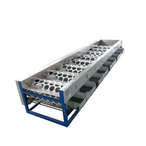 Máquina clasificadora industrial para lavar manzanas, clasificador de frutas y manzanas, máquina clasificadora de tomates