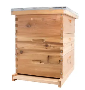 Ultimo prezzo per il prezzo Basso Buon materiale in legno di abete alveare di api o alveare o casa delle api
