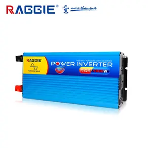 RAGGIE Inverter Frekuensi Tinggi, Inverter Frekuensi Tinggi 12/24V 300W 500W 1000W 2000W 3000W