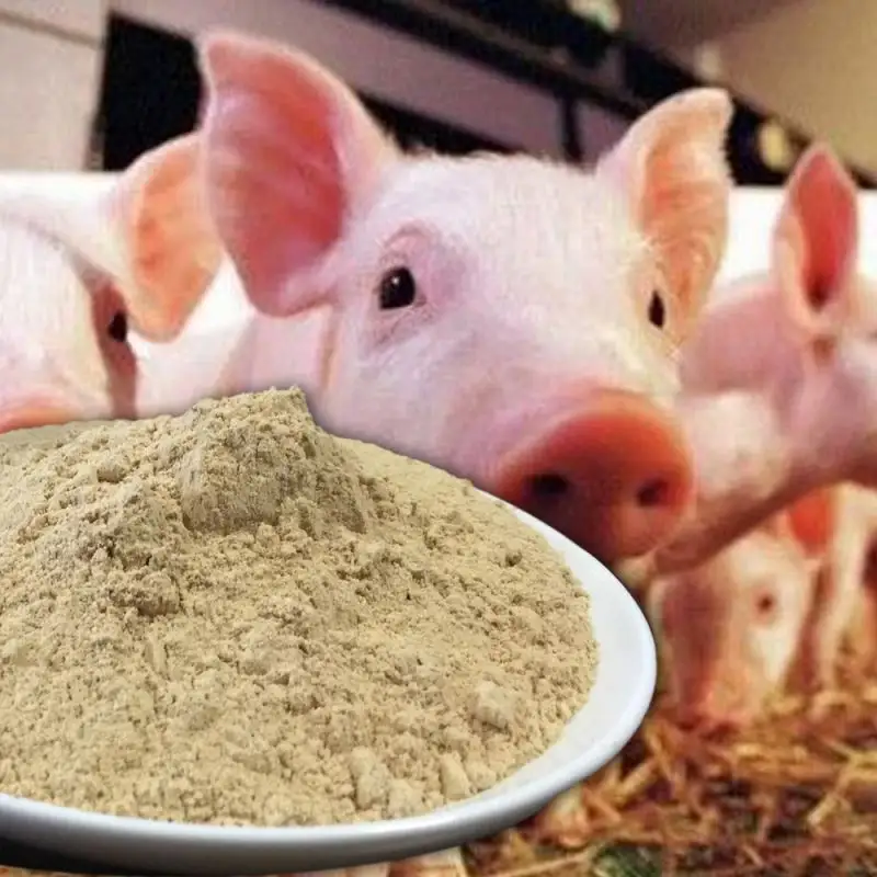 PANGOO кормовые пробиотики для кормления свиней/поросят/свинообразные/как кормовые добавки