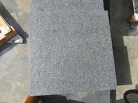 Dalles de granit flammé gris Padang G654 pour allées, voies de circulation et pavés de rue