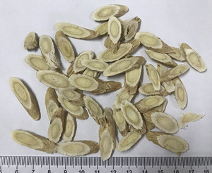 Huangqi ervas chinesas seca raiz astragalus orgânica da membranásia - Product Image 3