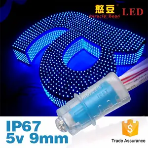 WS2811 RGB Pixel LED Lichterkette 5V 12V LED Smart Pixel Lampe zertifiziert LED dekorative Licht 12mm Voll farben Pixel LED