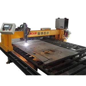 จีนราคาถูก2500X6000Mm CNC Gantry CNC เครื่องตัดพลาสม่าเปลวไฟเครื่องวัตถุประสงค์คู่