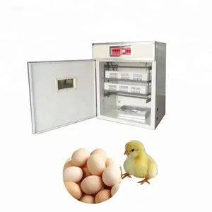 Grande avestruz galinha ovo hatcher prix casal 5000 oeufs de poule