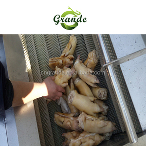 Equipo pequeño de lavado de <span class=keywords><strong>mejillones</strong></span> y máquina de limpieza de <span class=keywords><strong>mejillones</strong></span>, de alta calidad, a buen precio - Product Image 5