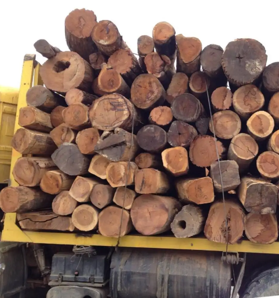 Abbiamo Africano in legno Padouk legname in vendita/KD legname/rotondo tronchi