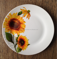 Assiettes plates en porcelaine bon marché et fragiles