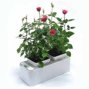 Food-grade Material Hydroponic Agricultural Hydroponic Growing pot