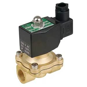 2W160-15S 2/2 Way Direct Biasanya Tertutup Air Water Oil Gas Solenoid Valve