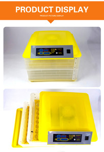 广州工厂200鸡蛋家禽培养箱/自动couveuse solaire孵化器孵化机 - Product Image 5