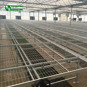Agricultural Greenhouse Movable Vegetables <strong>Planting</strong> <strong>Table</strong> - Product Image 3