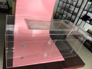 Plastic acryl reptiel kooi voor spider lizard gecko Geen schroef ontwerp acryl reptiel terrarium